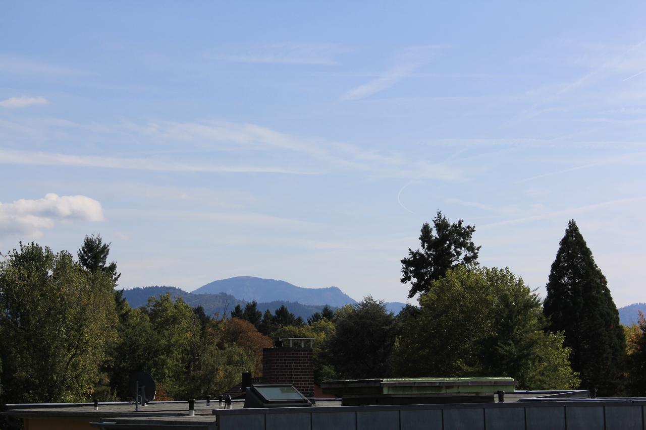 Mariaprimavera Apartment Am Kurpark Mit Schwarzwaldblick * * * * Bad Krozingen Εξωτερικό φωτογραφία